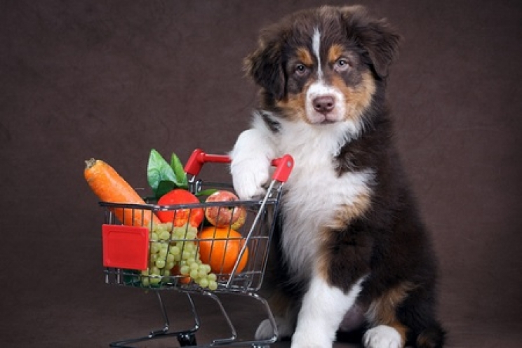 FOS e MOS nella dieta del cane e del gatto