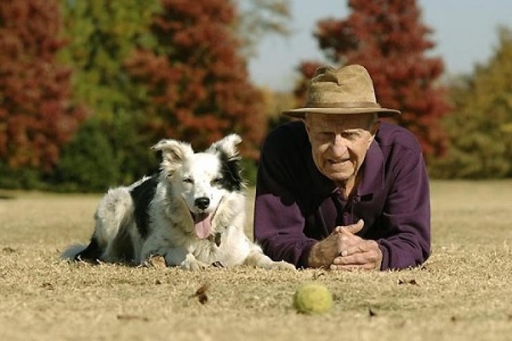 immagine I consigli per allungare la vita dei nostri animali