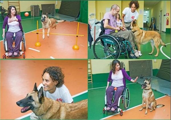 immagine Pet Therapy all' Ospedale Niguarda di Milano:   Happy ed Angel, dieci anni di amore