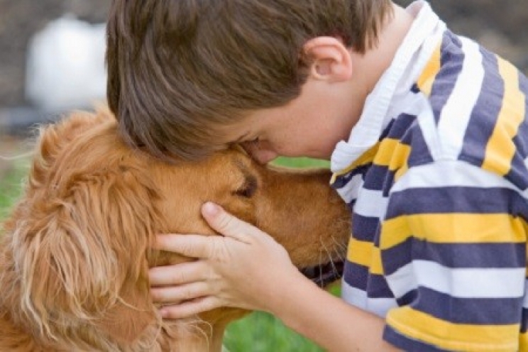 I bambini che crescono con un animale diventano più sensibili ed empatici | Novità | Magazine