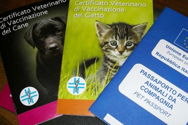 immagine Libretto, microchip, passaporto e pedigree: tutti i documenti del cane
