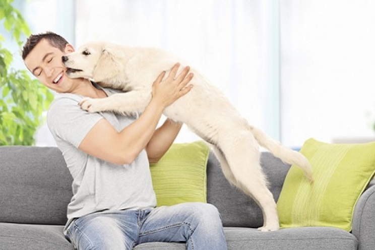 immagine Insegnare al cane a non saltare addosso