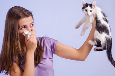 allergia al gatto starnuti