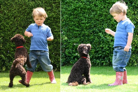 bambino insegna al cane a non saltare seduto