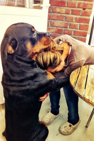 cane abbraccia proprietaria donna emozioni tristezza
