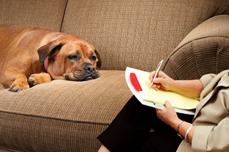 cane dallo psicologo psichiatra disturbo compulsivo