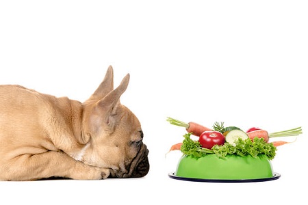 cane mangia verdure