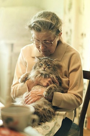 signora anziana con gatto