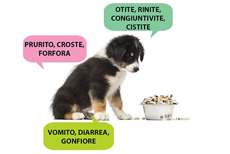 sintomi intolleranze alimentari cane