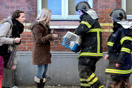 vigili del fuoco trovano gatto smarrito