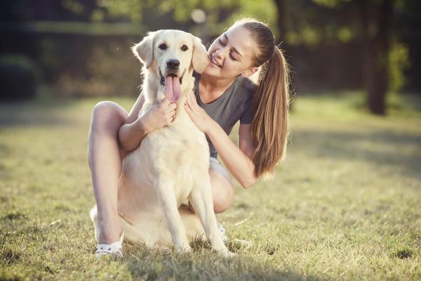 Pet-Sitter