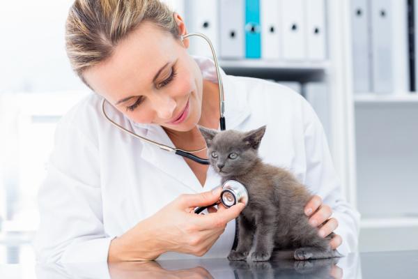 Veterinari